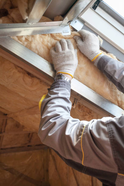 Best Specialty Insulation in North Alamo, TX