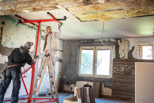Best Insulation for Specific Applications in North Alamo, TX