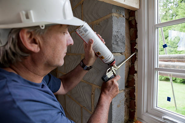 Best Insulation Maintenance and Repair in North Alamo, TX