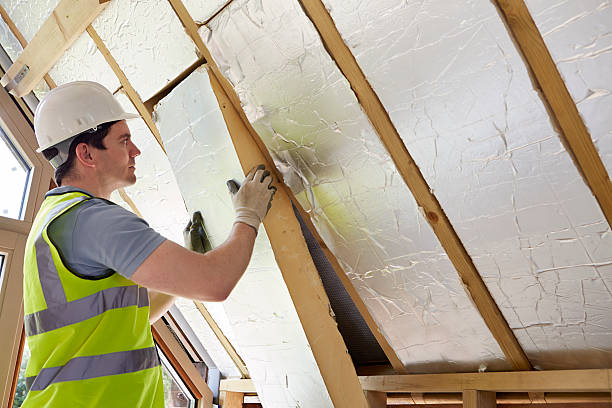 Best Residential Insulation in North Alamo, TX